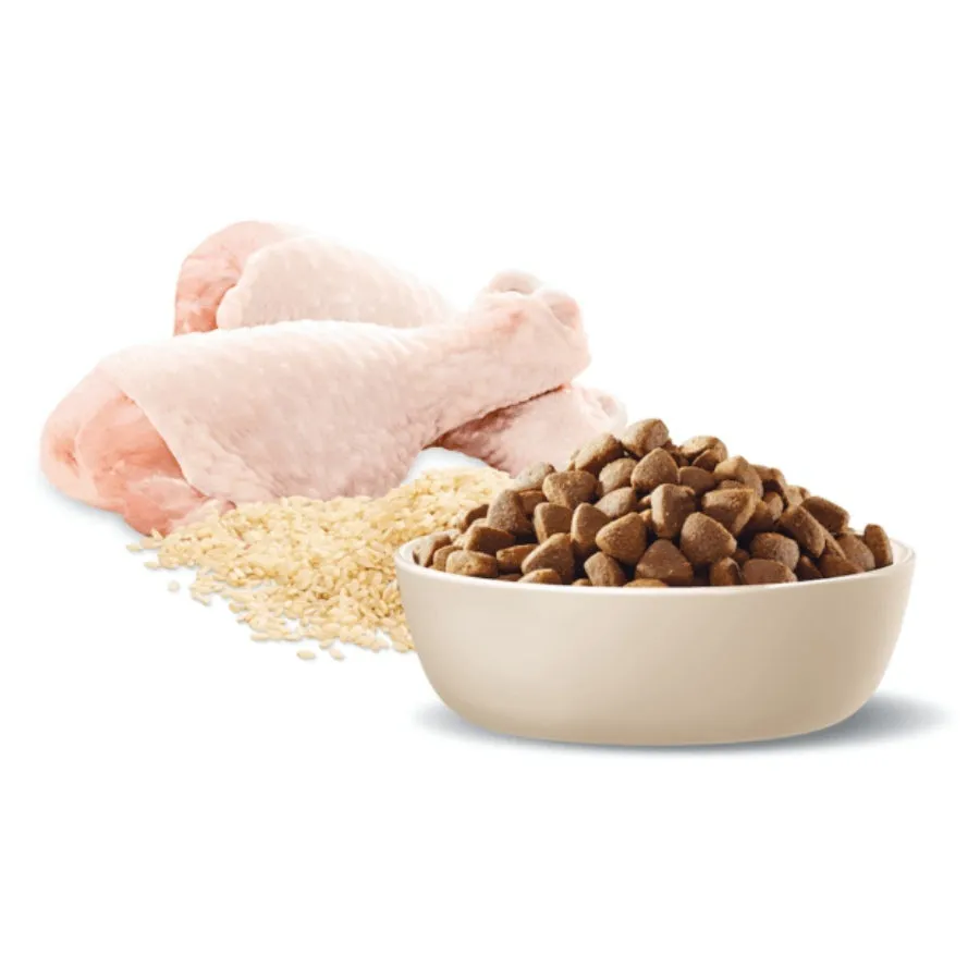 Advance Adult Cat Chicken with Rice