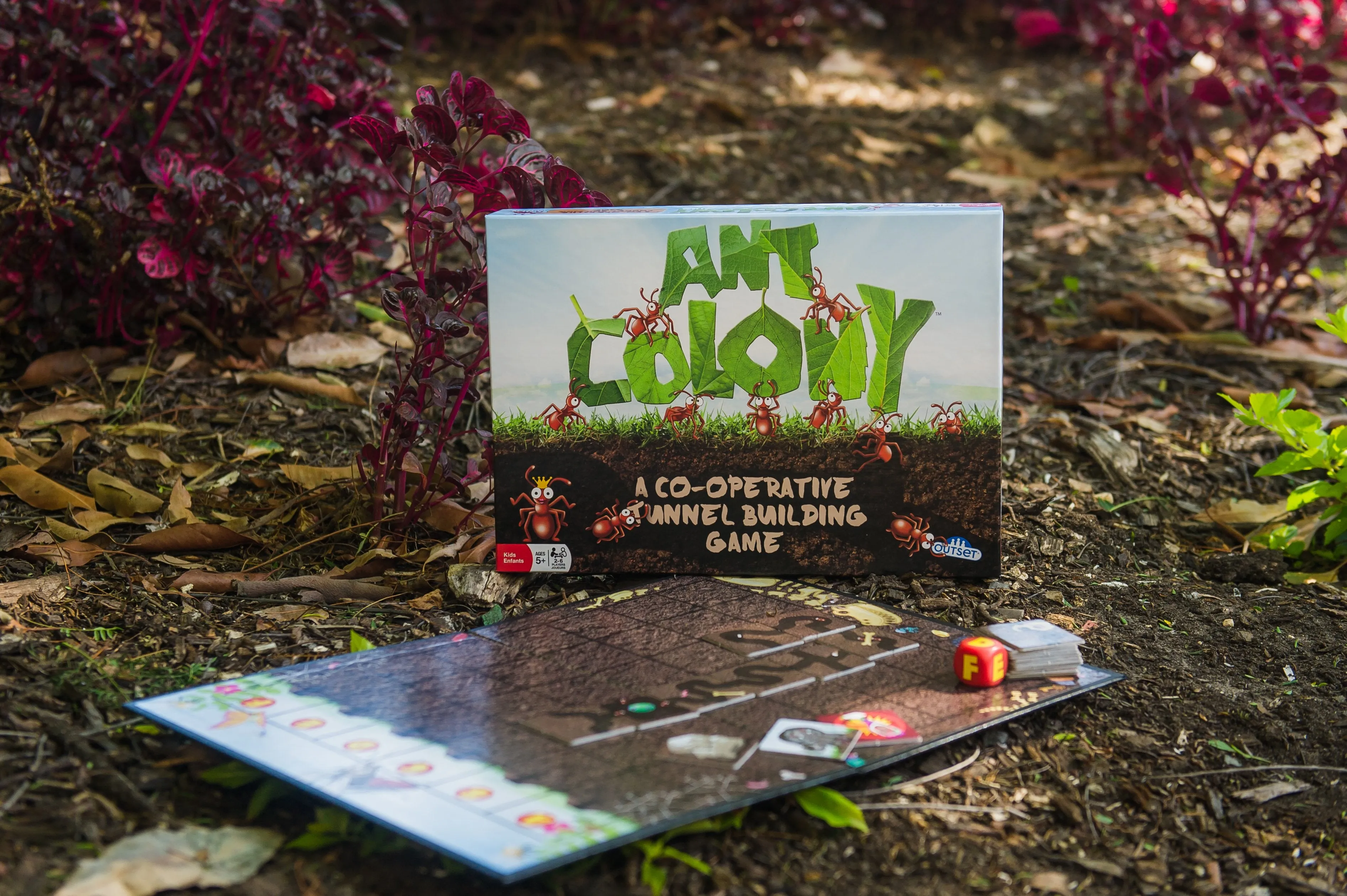 Ant Colony Cooperative Game