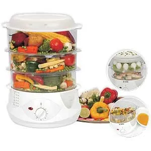 Electric Food Steamer Multi Steam Cooker - Momos  Maker, Modak Maker, Vegetables, Chicken, Fish  Etc