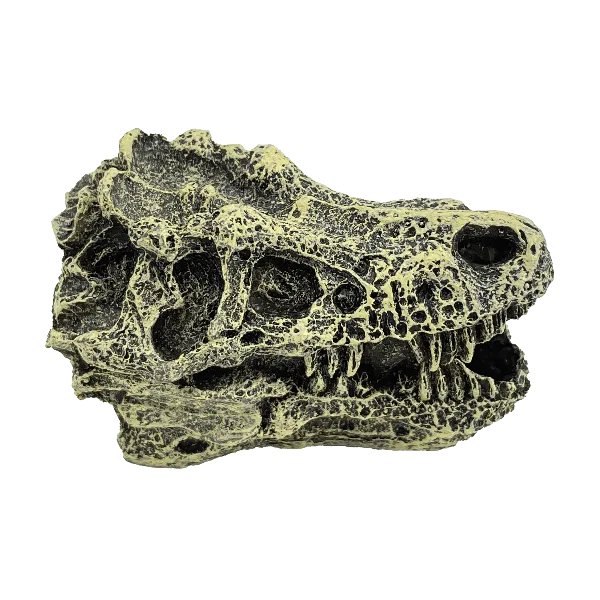 Fish Gear Dino Skull Betta Ornament