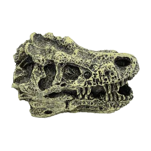 Fish Gear Dino Skull Betta Ornament