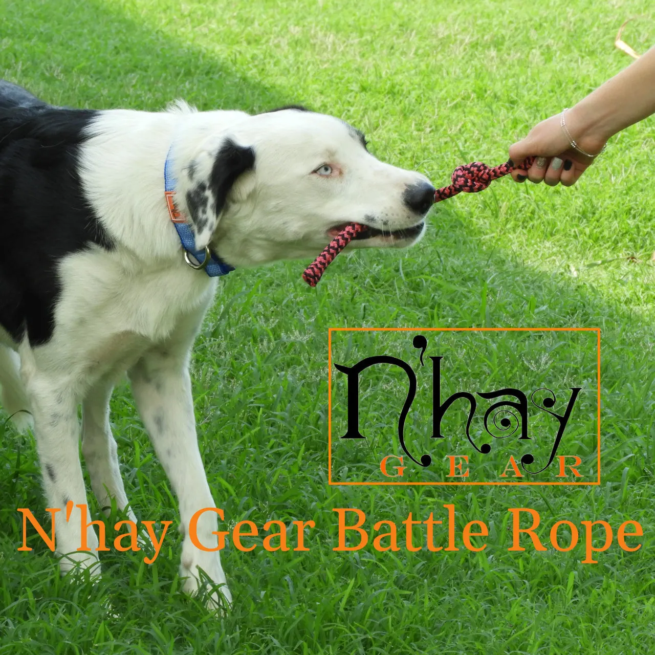 N’hay Gear - Doggy Battle Rope