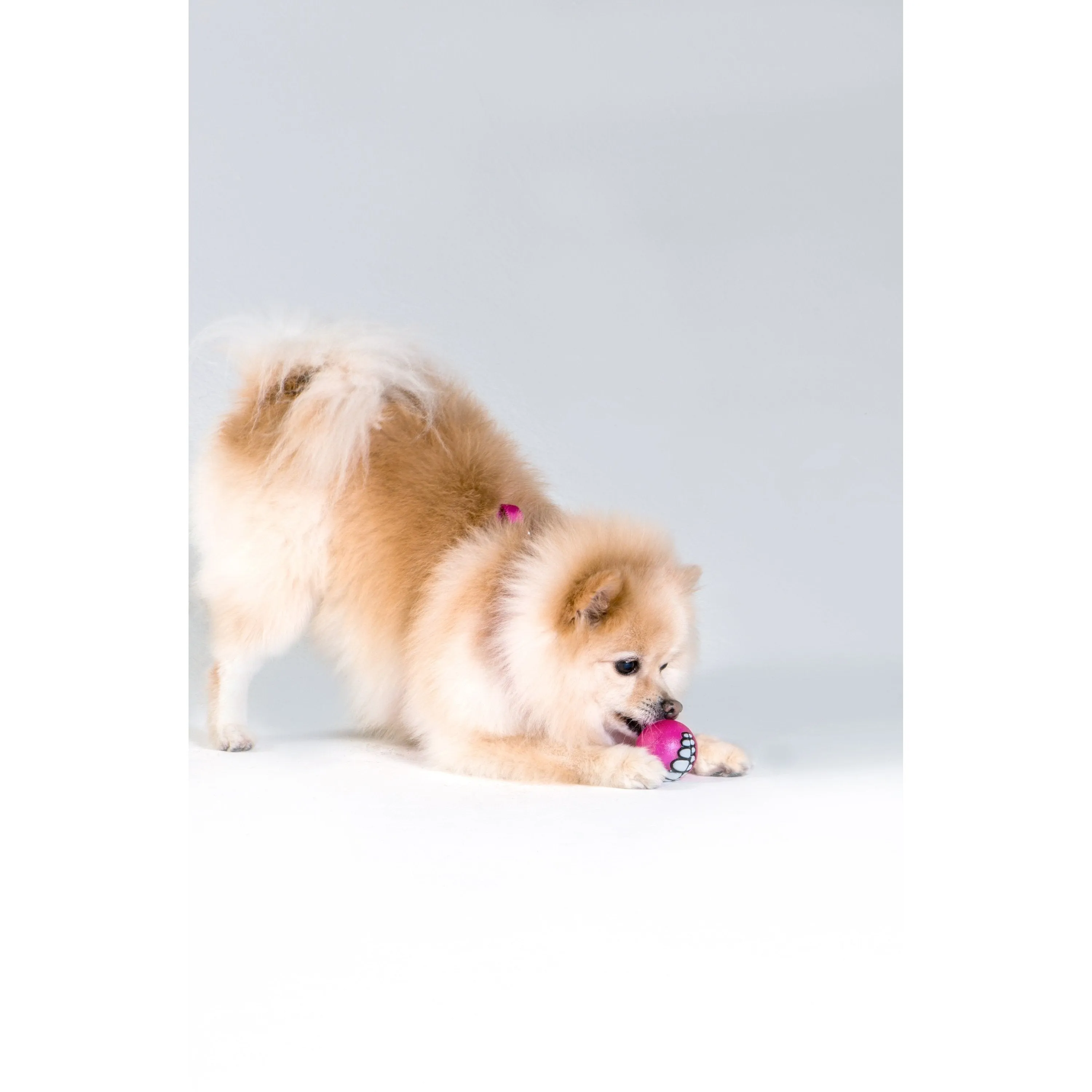 Rogz Grinz Ball Small Dog Toy Pink