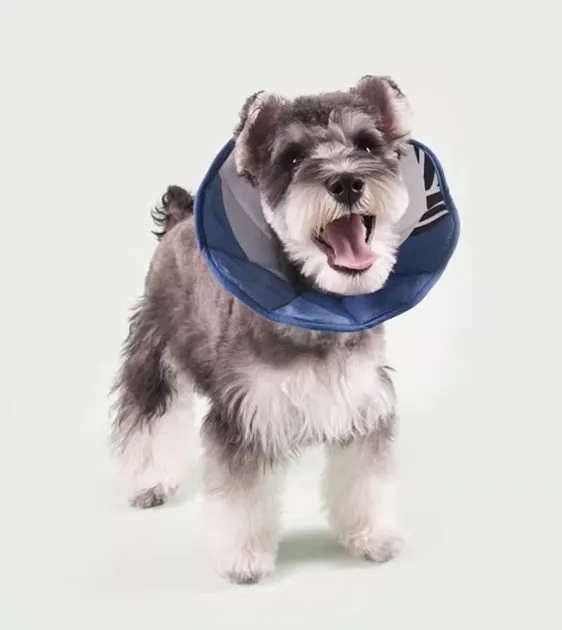 SALA First Aid Comfy Recovery Soft E-Collar For Dogs & Cats