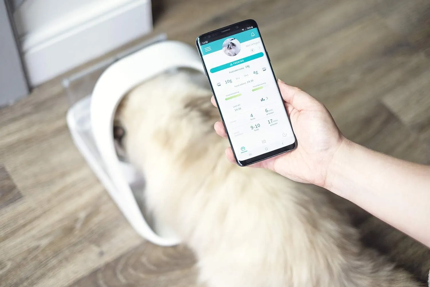 Sure Petcare Pet Feeder Connect