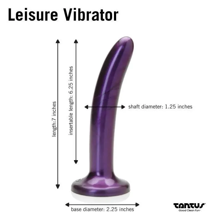 Tantus Leisure Vibe (Midnight Purple)